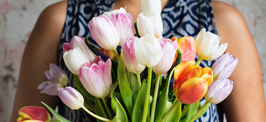 18 Ways to Keep Tulips from Drooping