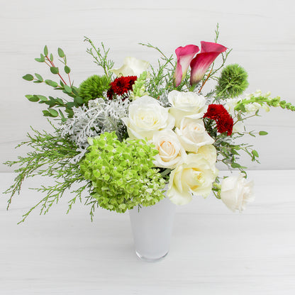 3 Month Gift Garden Collection